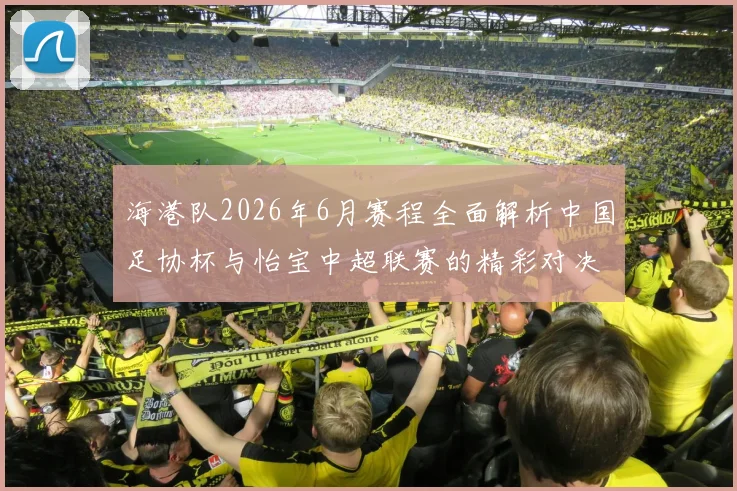 海港队2026年6月赛程全面解析中国足协杯与怡宝中超联赛的精彩对决